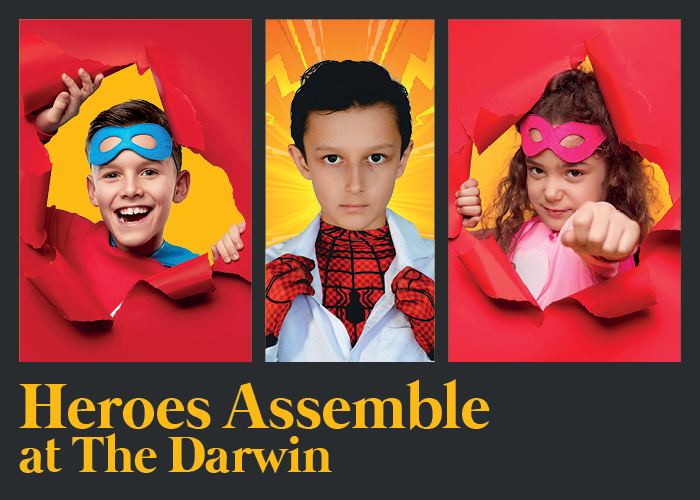 The Darwin Shrewsbury Summer Super Hero Event